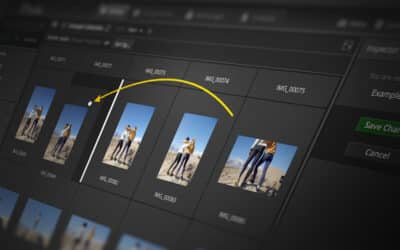 Workflow fixes and optimizations